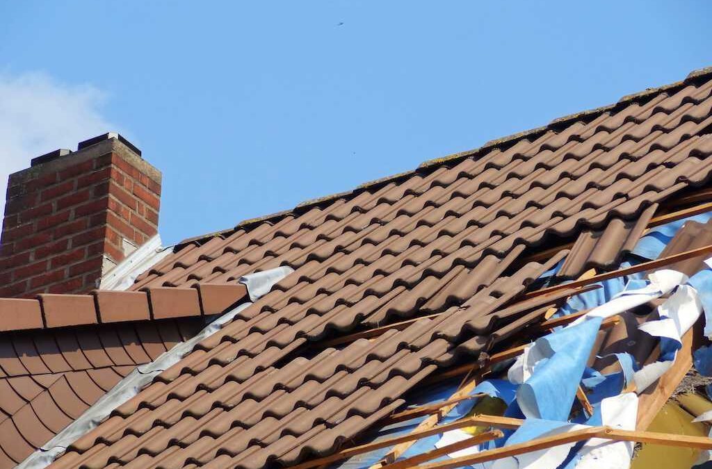 The Sky is Falling: Eight Actions You Can Take if Your Roof Starts Leaking