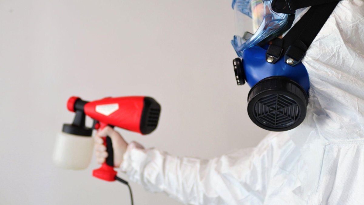 How To Handle Mold Removal In Your Home