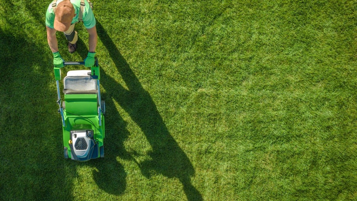 How Much Does It Cost to Maintain a Lawn?