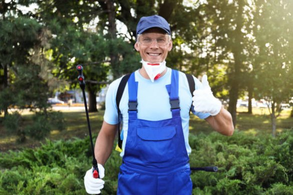 The Silent Destroyers: Termite Prevention and Eradication for a Solid Home Foundation