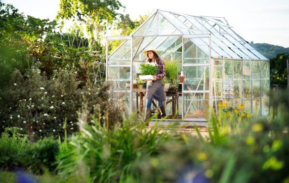 Choosing The Right Glasshouse For Your Gardening Needs