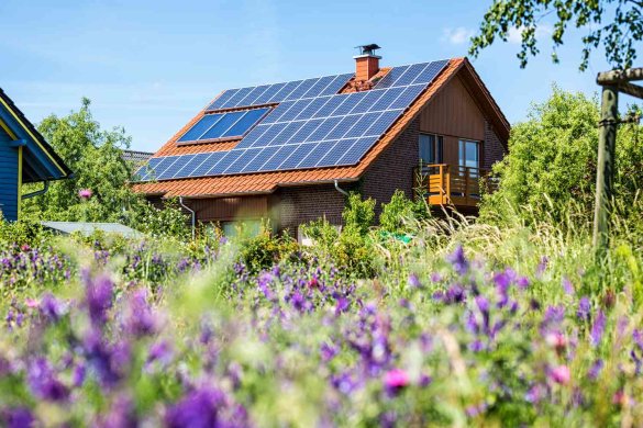 Looking to make your home sustainable in 2024? Discover 6 effective ways to embrace eco-friendly living and reduce your footprint.