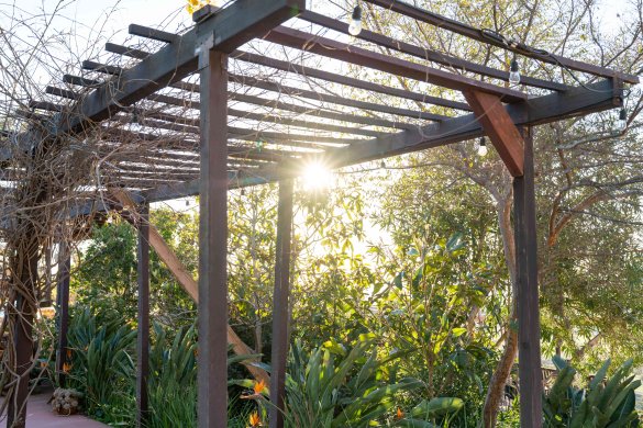 Building a Pergola: 5 DIY Tips