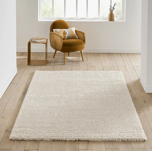 5 Tips for Drying Carpets in an Easy Way