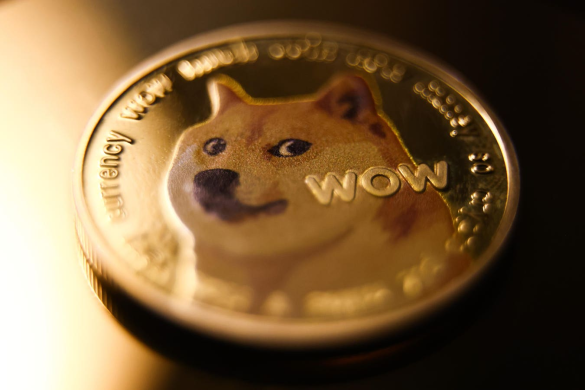 What Determines the Price of Dogecoin? A Beginner’s Guide