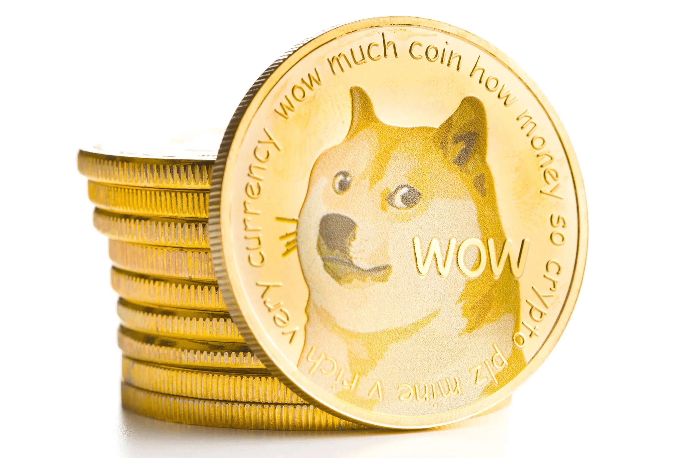 What Determines the Price of Dogecoin? A Beginner’s Guide