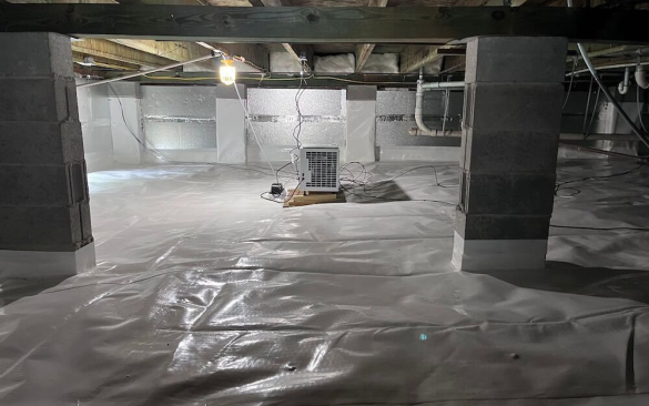 Crawl Space Cleanup Best Practices