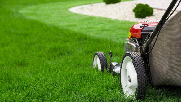 How to Mow Your Lawn Like a Pro