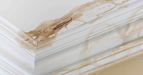 Learn How to Handle Water Damage in Your Home