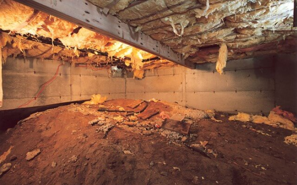 Crawl Space Cleanup Best Practices