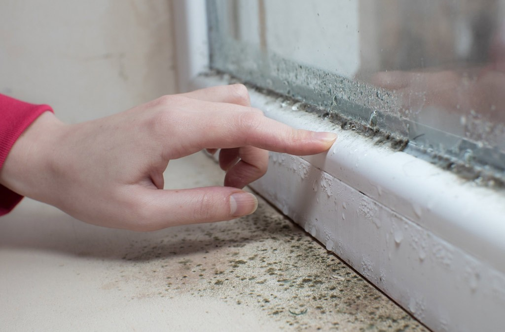 How to Stop Damp and Mould Without Losing Living Space