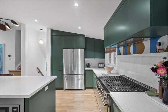 Modern Kitchens with Green Cabinets