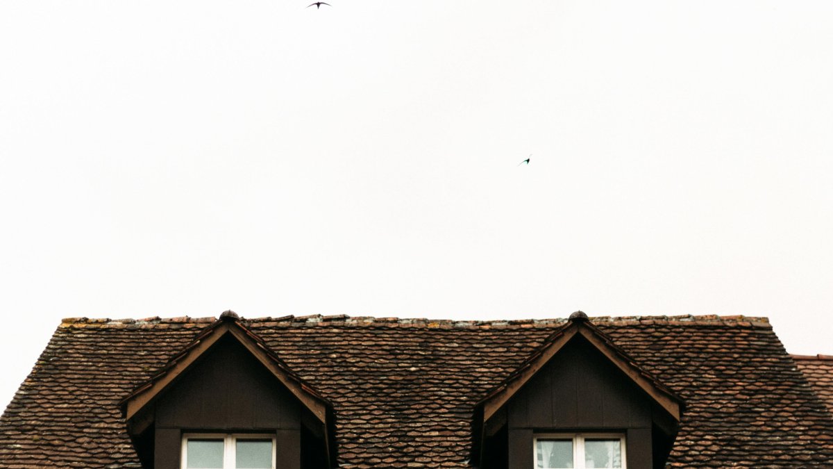 The Most Common Roofing Problems Ohio Homeowners Face