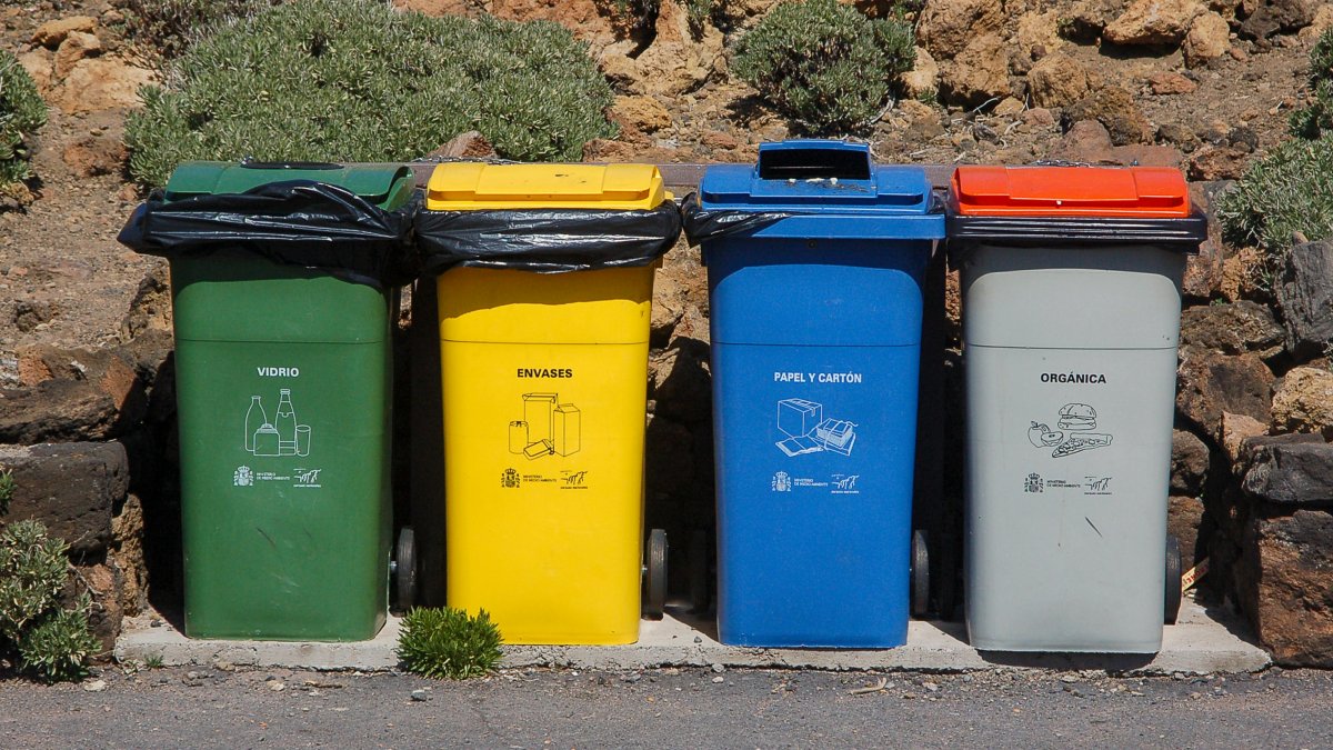 What Are Plastic Moving Bins and Why Are They Better Than Cardboard Boxes?