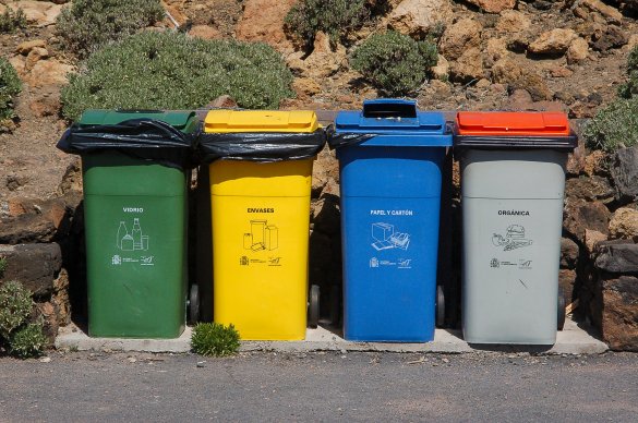 What Are Plastic Moving Bins and Why Are They Better Than Cardboard Boxes?