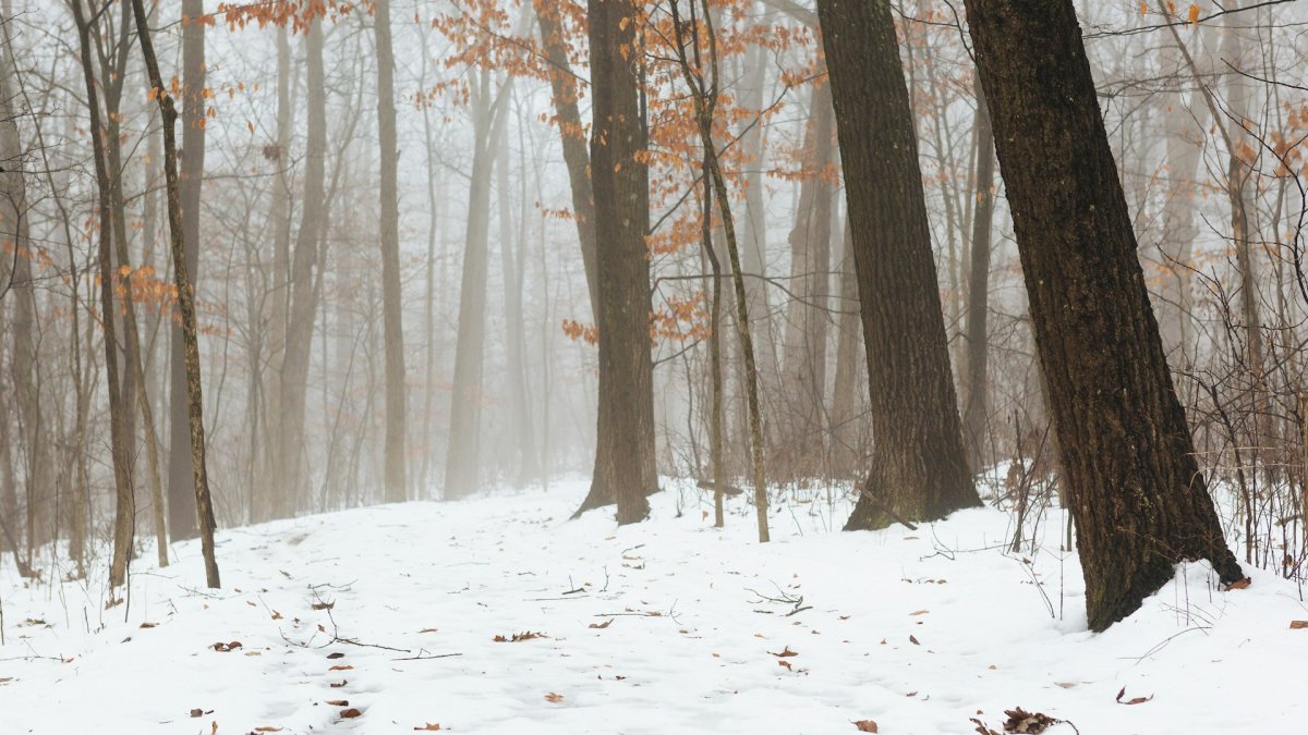 How Midwest Winters Put Extra Strain on Home Heating Systems