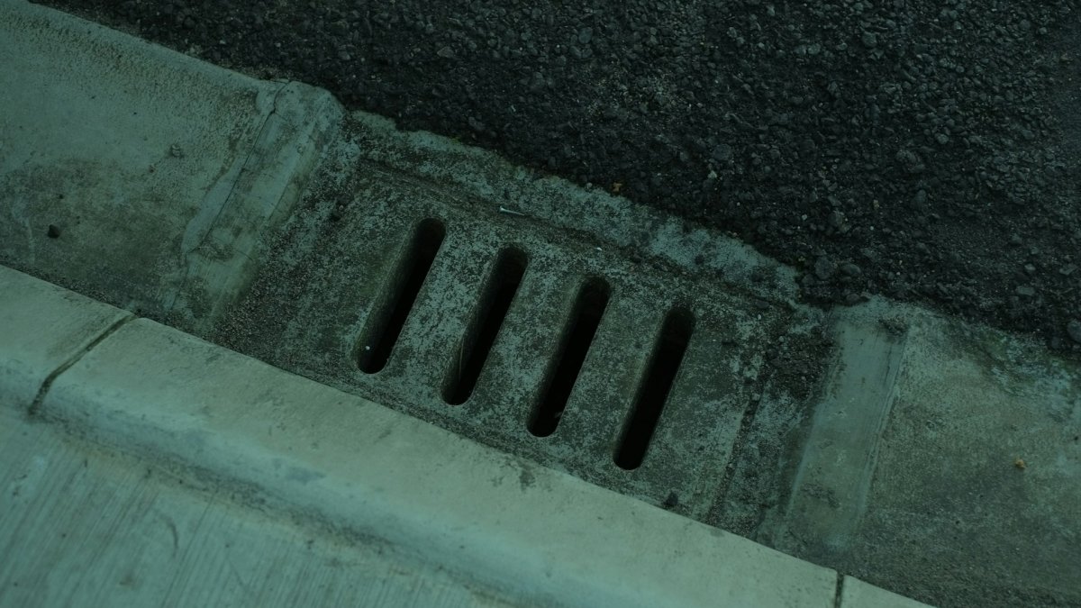 Why Do Some Home Sewer Blockages Require Professional Excavation?