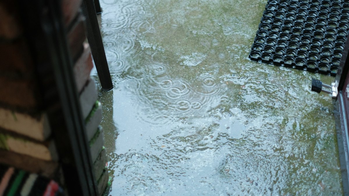 Flooded Basement Cleanup Essential Steps to Restore Your Home After Water Damage