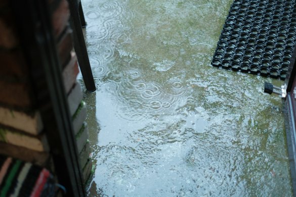 Flooded Basement Cleanup Essential Steps to Restore Your Home After Water Damage