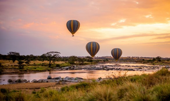 Why the Serengeti Is Perfect for a Honeymoon