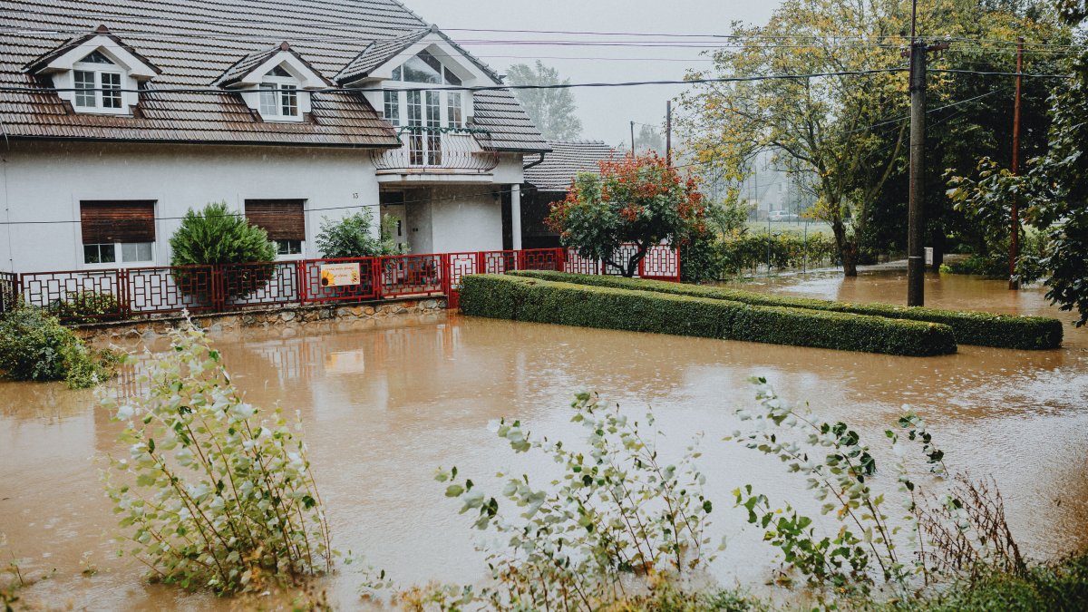 Flooded Basement Cleanup Essential Steps to Restore Your Home After Water Damage