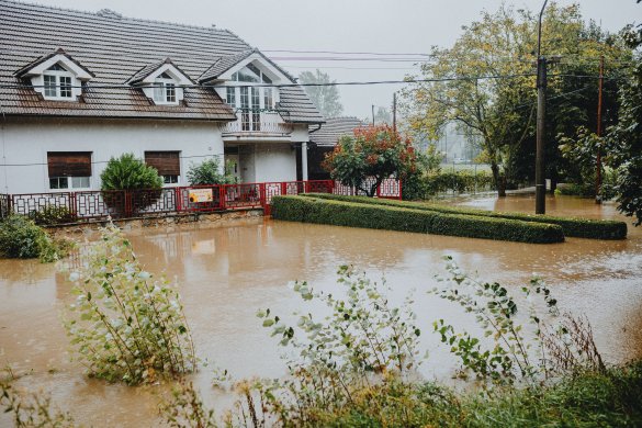 Flooded Basement Cleanup Essential Steps to Restore Your Home After Water Damage